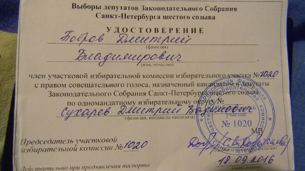 Выборы