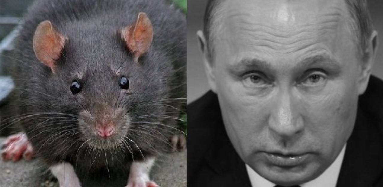 Всё, что можно ждать от Путина, мы уже знаем 